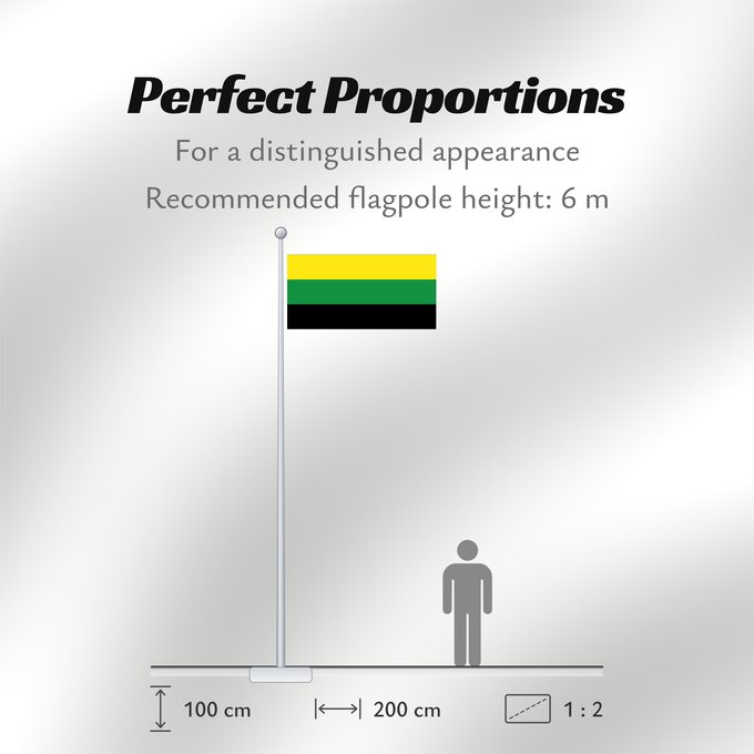 Flag Proportions: Guachetá Cundinamarca Guachetá (Cundinamarca) Municipio de Guachetá Cundinamarca