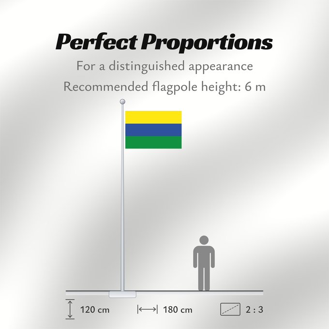 Flag Proportions: Guainía Guainía, Colombia