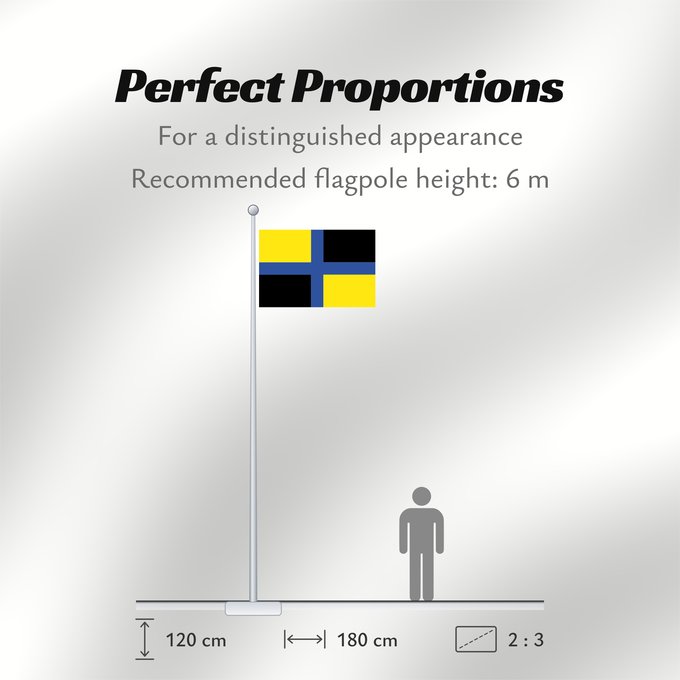 Flag Proportions: Jamundí Valle Colombia