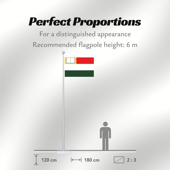 Flag Proportions: Monterrey  Casanare	Monterrey (Casanare)	Municipio de Monterrey  Casanare