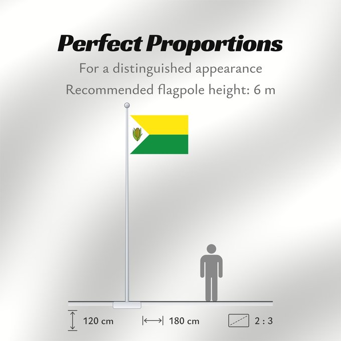 Flag Proportions: Pelaya Cesar Pelaya (Cesar) Municipio de Pelaya Cesar
