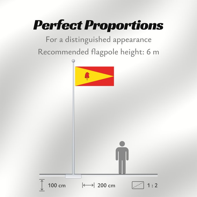 Flag Proportions: Pereira	Pereira, Colombia
