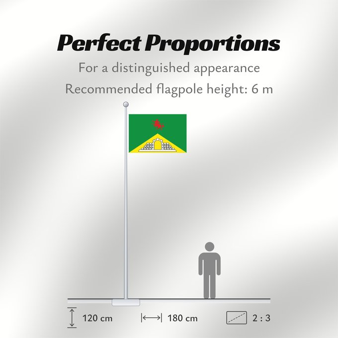 Flag Proportions: Pore Casanare Pore (Casanare) Municipio de Pore Casanare