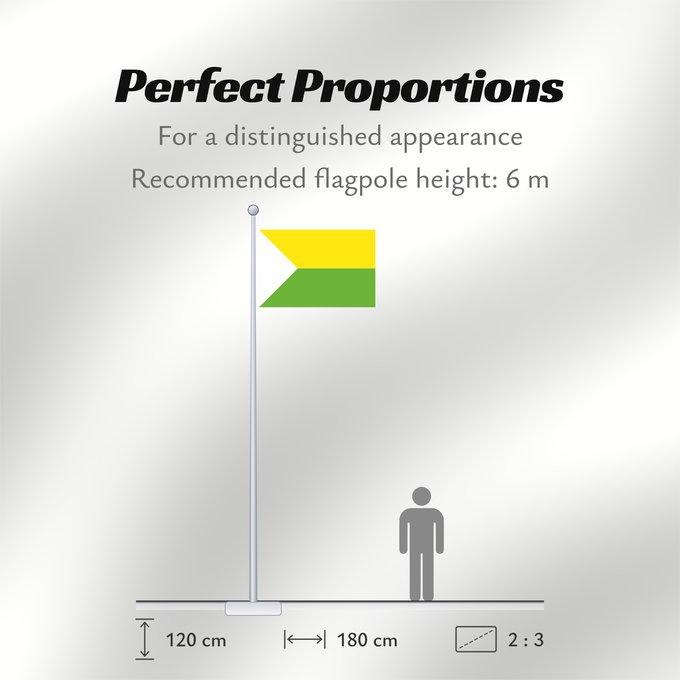 Flag Proportions: Puerto Carreño Vichada Puerto Carreño (Vichada) Municipio de Puerto Carreño Vichada