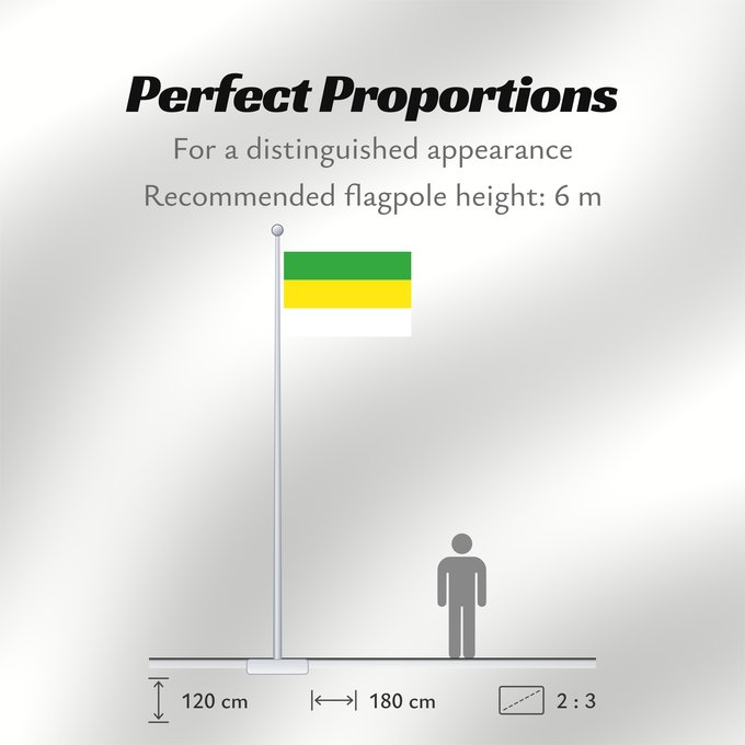 Flag Proportions: San Carlos de Guaroa Meta San Carlos de Guaroa (Meta) Municipio de San Carlos de Guaroa Meta