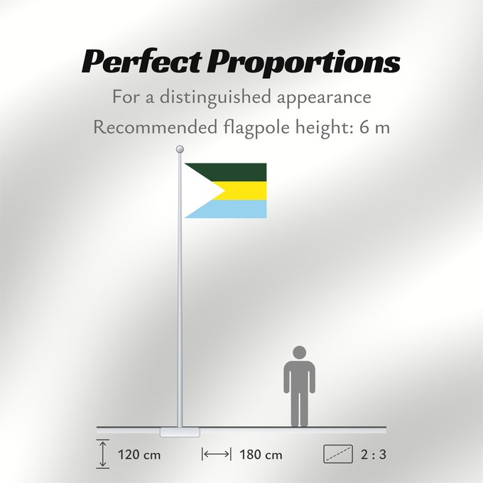 Flag Proportions: San Jacinto del Cauca Bolívar San Jacinto del Cauca Municipio de San Jacinto del Cauca Bolívar