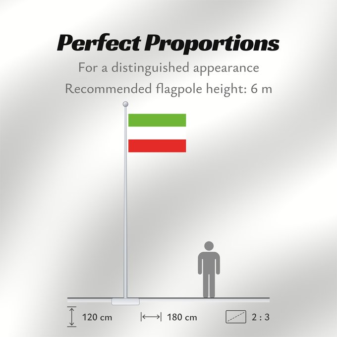 Flag Proportions: San Juan de Arama, Meta
