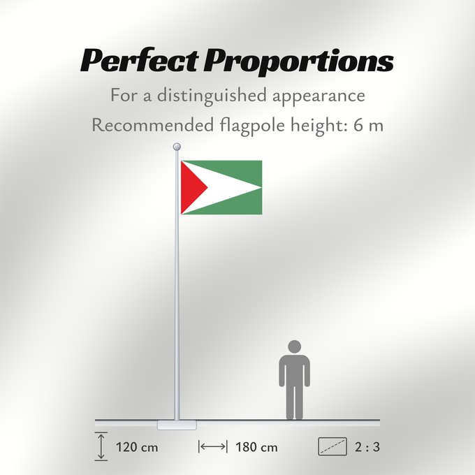 Flag Proportions: Sandoná  Nariño	Sandoná (Nariño)	Municipio de Sandoná  Nariño