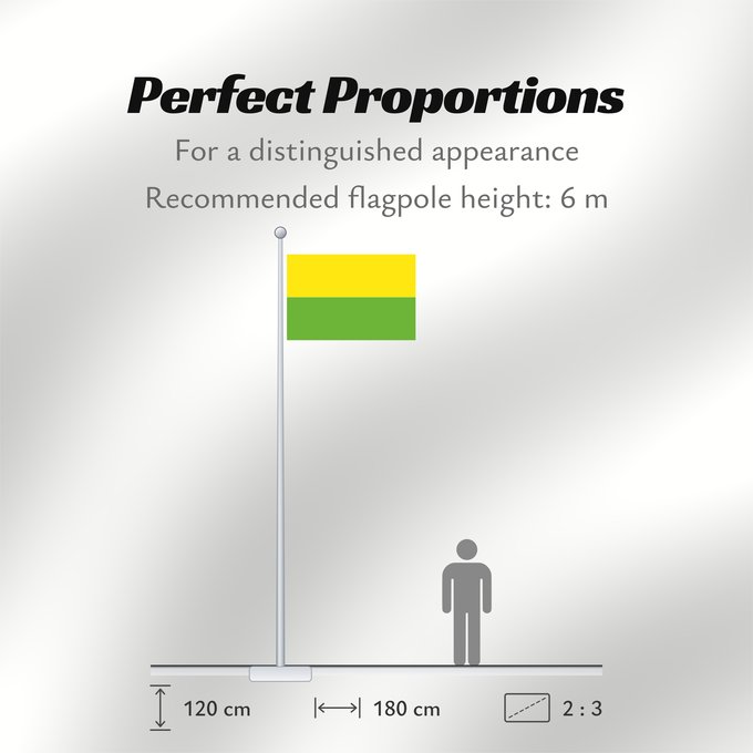 Flag Proportions: Santa Ana Magdalena Santa Ana (Magdalena) Municipio de Santa Ana Magdalena