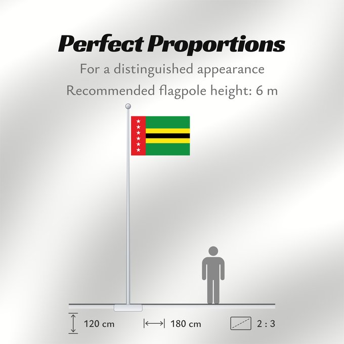Flag Proportions: Santander Colombia Santander Decreto 579 de 1972/Ordenanza 8 de 2008