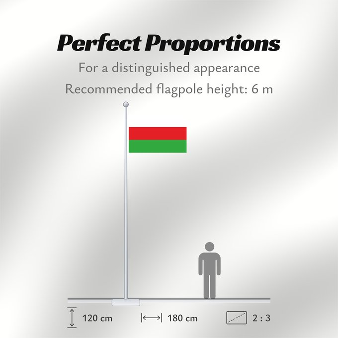 Flag Proportions: Sincelejo