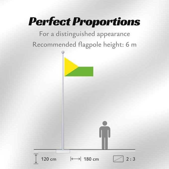 Flag Proportions: Taraira Vaupés Taraira Municipio de Taraira Vaupés