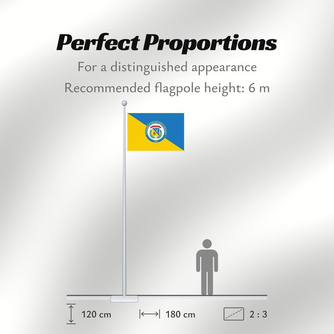 Flag Proportions: Universidad Militar Nueva Granada