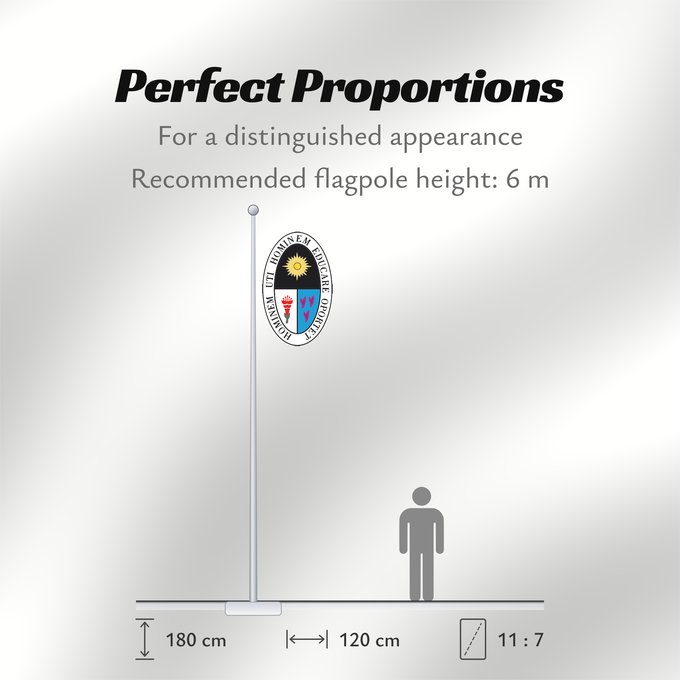 Flag Proportions: UNE