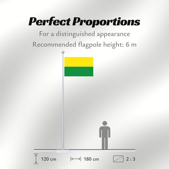 Flag Proportions: Vichada	Vichada, Colombia