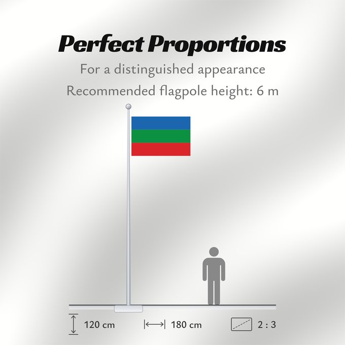 Flag Proportions: Villavicencio