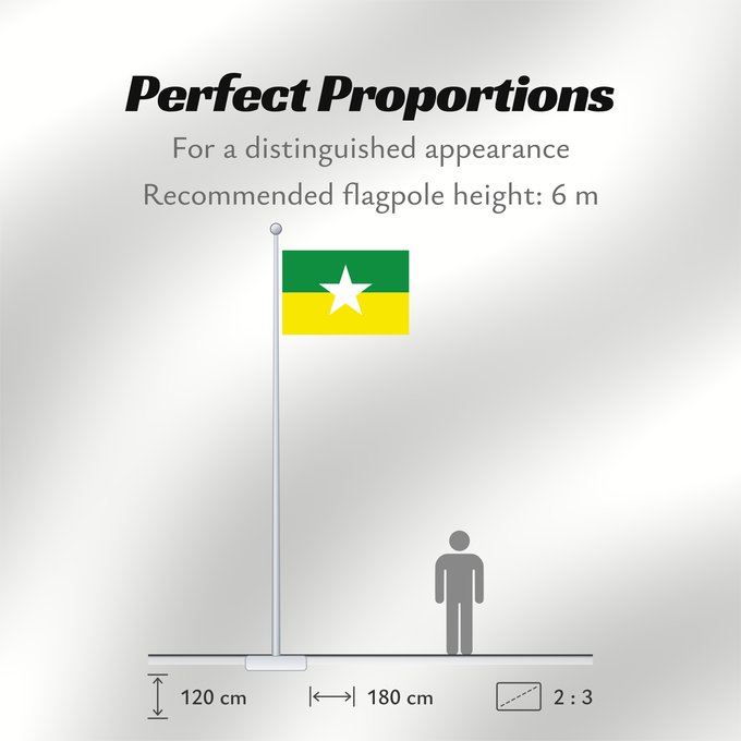 Flag Proportions: Zarzal Zarzal, Valle del Cauca, Colombia
