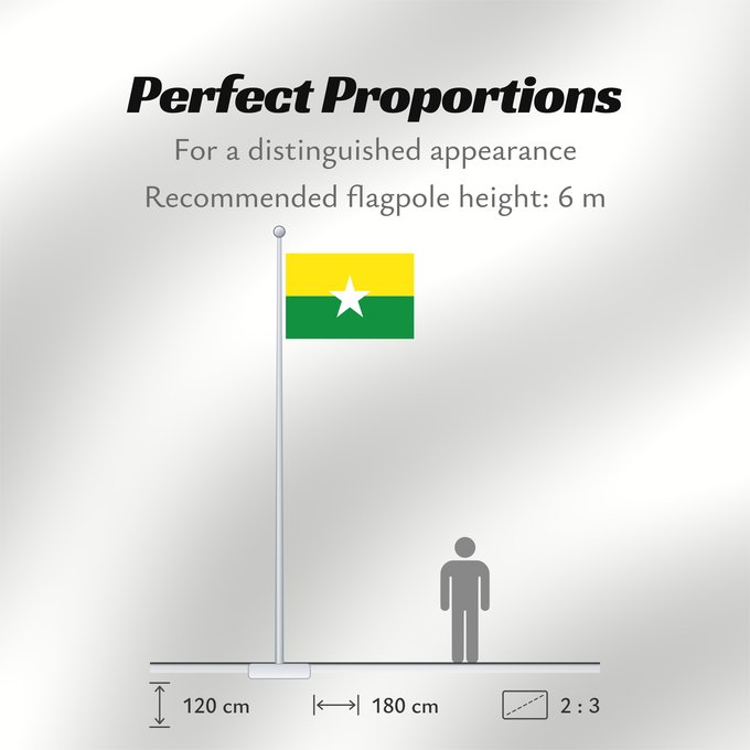 Flag Proportions: Zarzal Valle del Cauca Zarzal (Valle del Cauca) Municipio de Zarzal Valle del Cauca