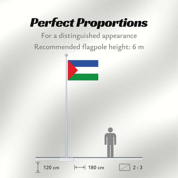 Flag Proportions: Guanacaste