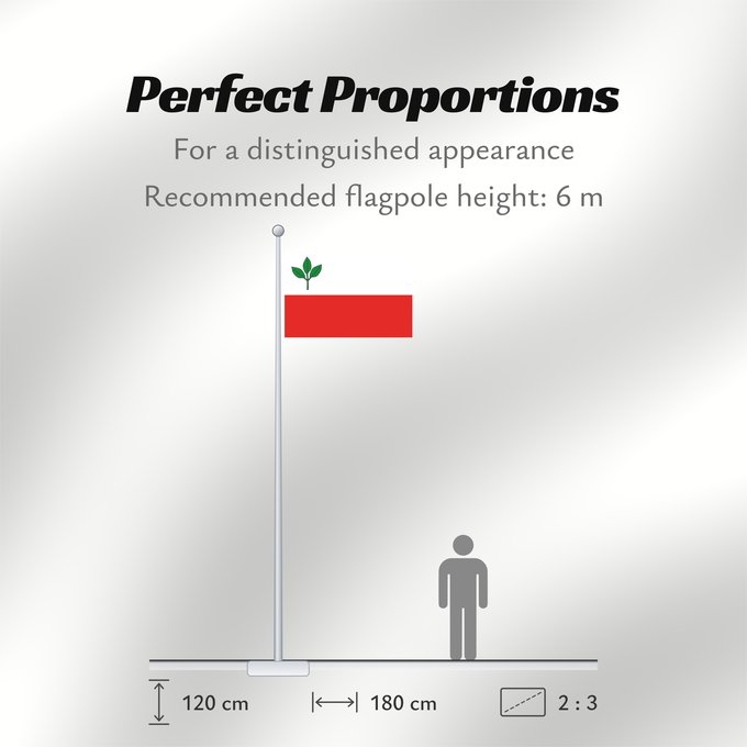 Flag Proportions: Bucina CZ Bucina Coat of arms