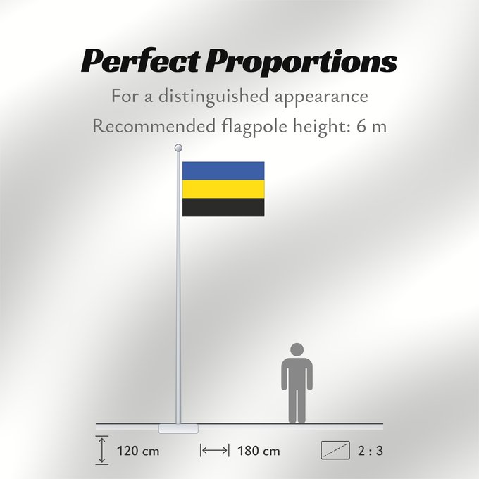 Flag Proportions: Cecelice CZ