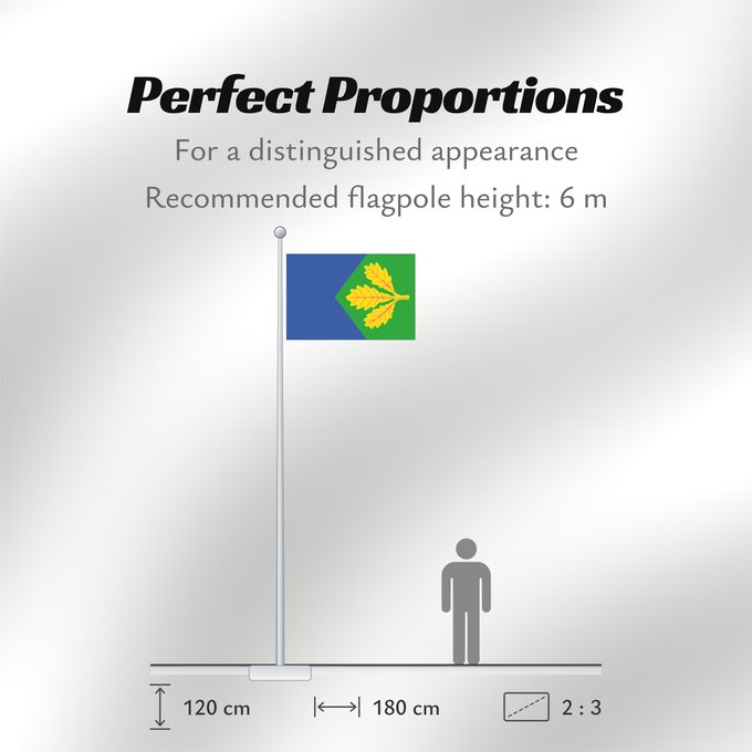 Flag Proportions: Dubicne CZ