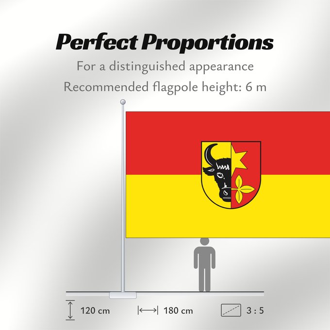 Flag Proportions: Brueel	City of Brüel	Ville de Brüel	Brüel	Stadt Brüel
