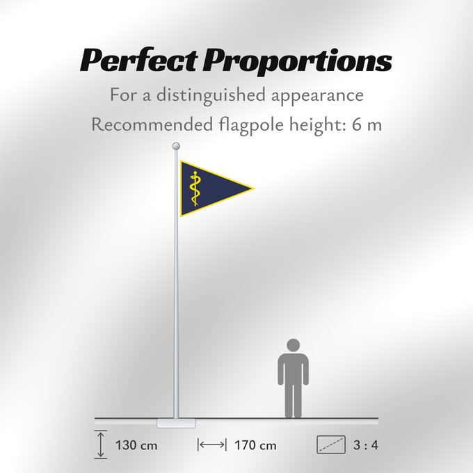 Flag Proportions: Chef Sanitätskompanie 2004