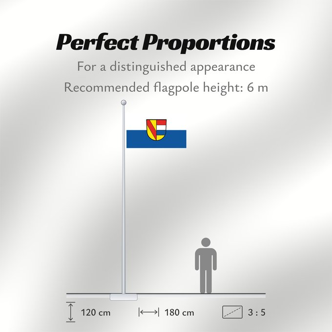 Flag Proportions: Pforzheim Stadt Pforzheim
