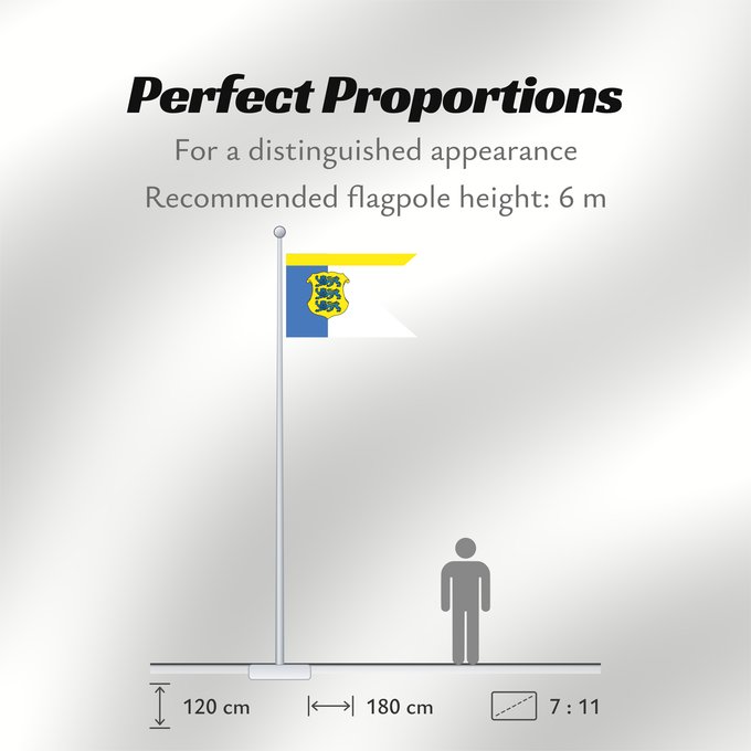 Flag Proportions: Estonia - Lieutenant General	Estonian Lieutenant General	Estonie - Drapeau de rang Lieutenant-général	Estonia - Bandera de rango Teniente General	Estland - Rangflagge Generalleutnant	Estonia - Bandiera di grado Tenente Generale
