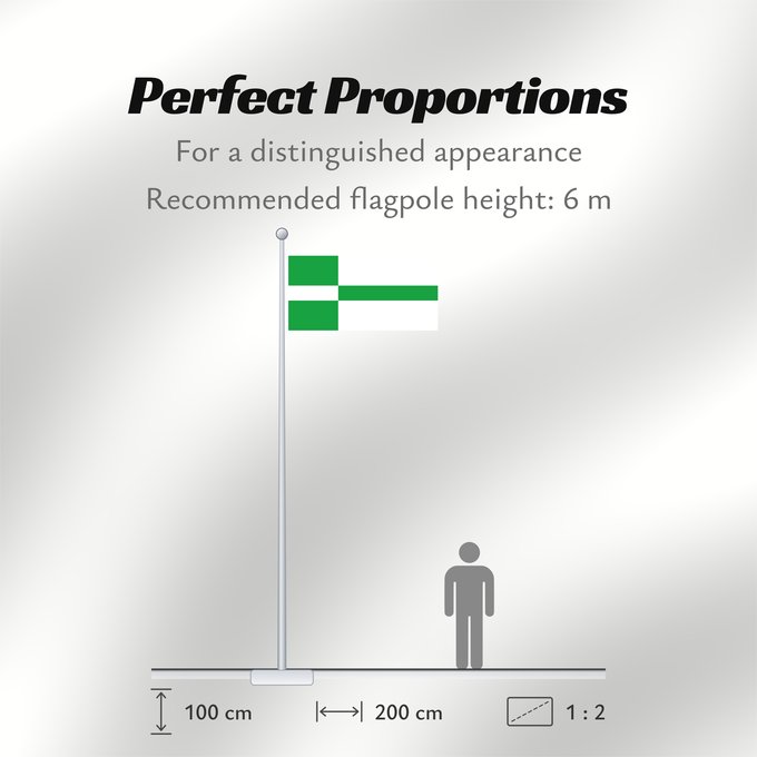 Flag Proportions: Paide lipp Paide Paide town - Estonia. 2 1