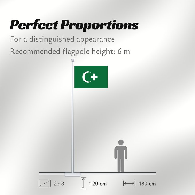 Flag Proportions: Revolution flag of Egypt 1919 The revolution flag of Egypt from 1919. It bears a crescent and cross to demonstrate that both Muslims and Christians supported the Egyptian nationalist movement against British occupation