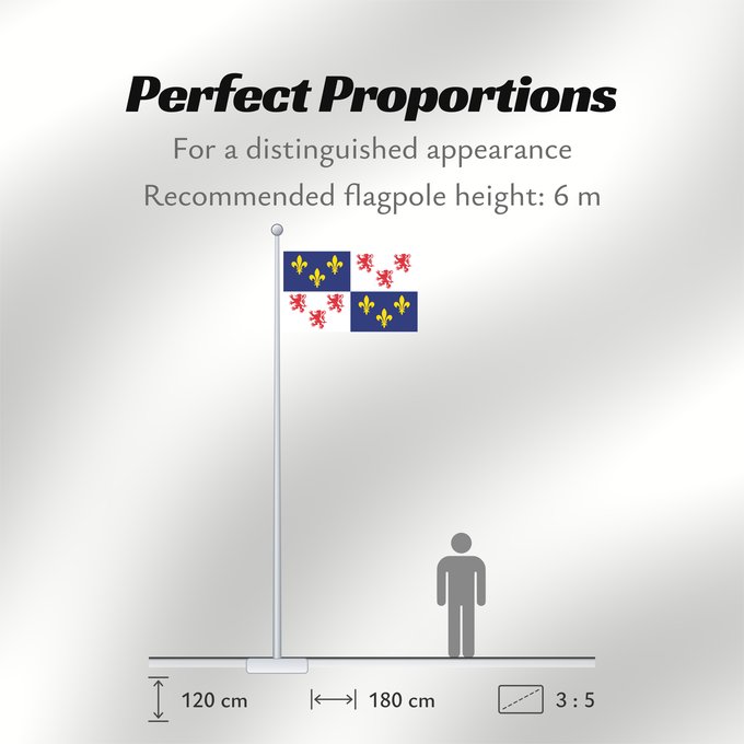 Flag Proportions: Picardie Region Picardie in France Région Picardie en France Picardo Picard