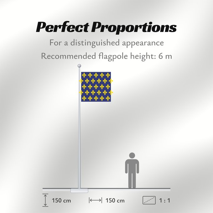 Flag Proportions: France XII-XIII France sec. XII-XIII France (XIIe-XIIIe siècle) Francia (siglos XII-XIII) Frankreich (12.-13. Jahrhundert) Francia del XII-XIII secolo