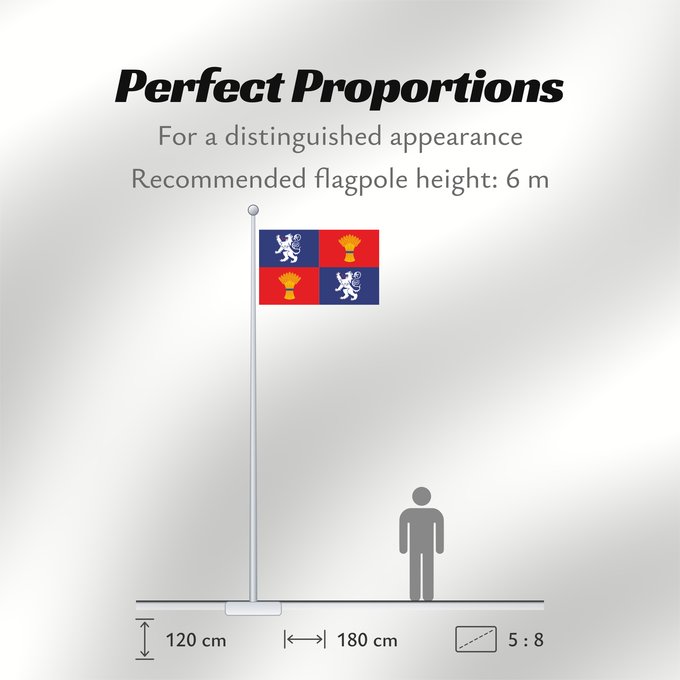 Flag Proportions: Gascogne French province of Gascogne Armorié de Gascogne Las armas de Gasconha