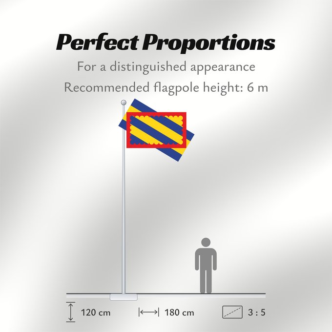 Flag Proportions: Nivernais French province of Nivernais
