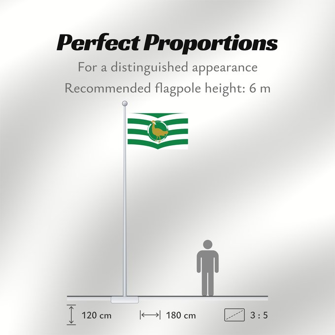 Flag Proportions: County Flag of Wiltshire Wiltshire Le Wiltshire
