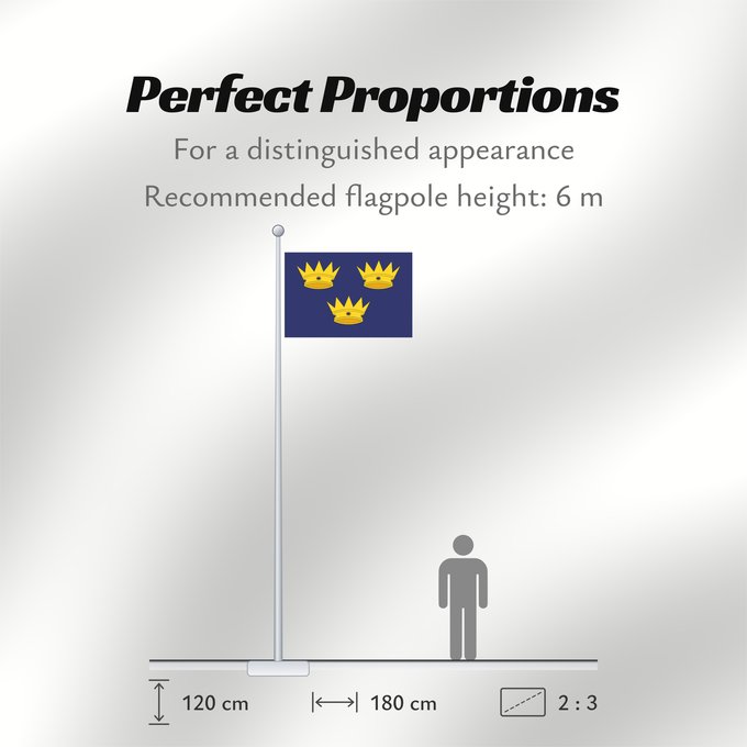 Flag Proportions: Munster