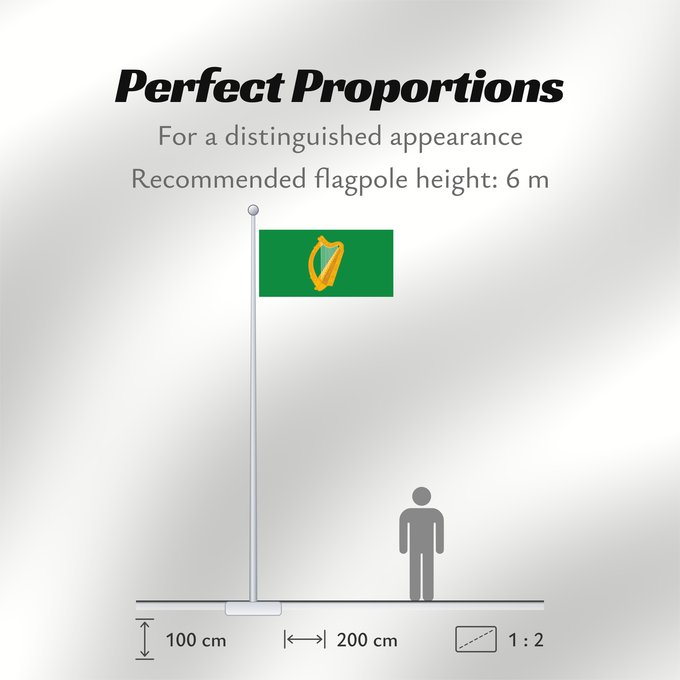 Flag Proportions: Leinster bright Leinster (bright) Leinster (lumineux) Leinster (brillante) Leinster (hell) Leinster (luminoso) W Leinster