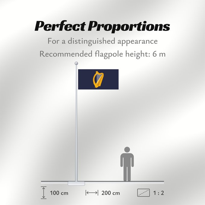 Flag Proportions: President of Ireland Presidential Flag of Ireland with alternate official state harp design Étendard présidentiel d'Irlande (motif de harpe alternatif) Estandarte Presidencial de Irlanda (diseño alternativo de arpa) Präsidentenstandarte von Irland (abweic
