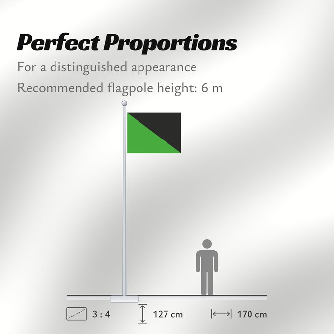 Flag Proportions: Idf armored corps	IDF s Armored Corps