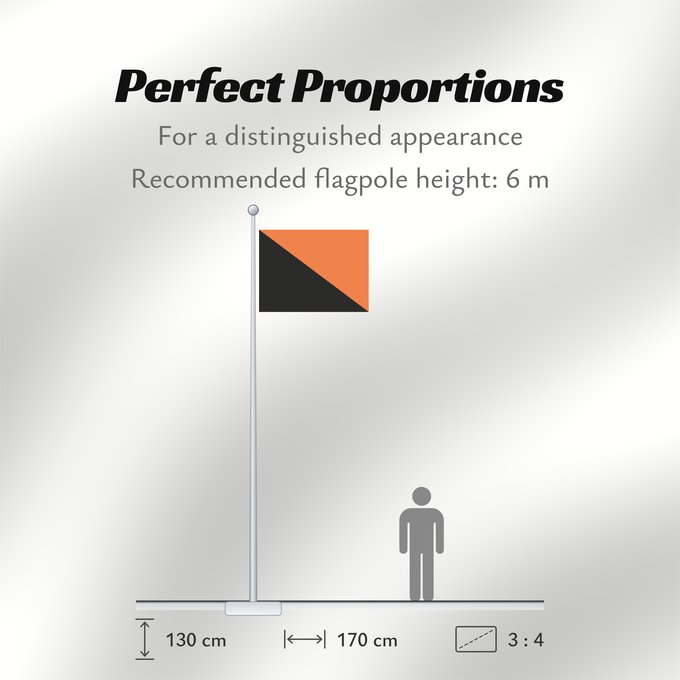 Flag Proportions: Idf engineering corps