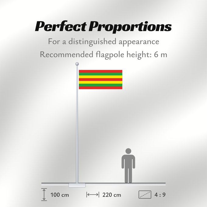 Flag Proportions: Patiala