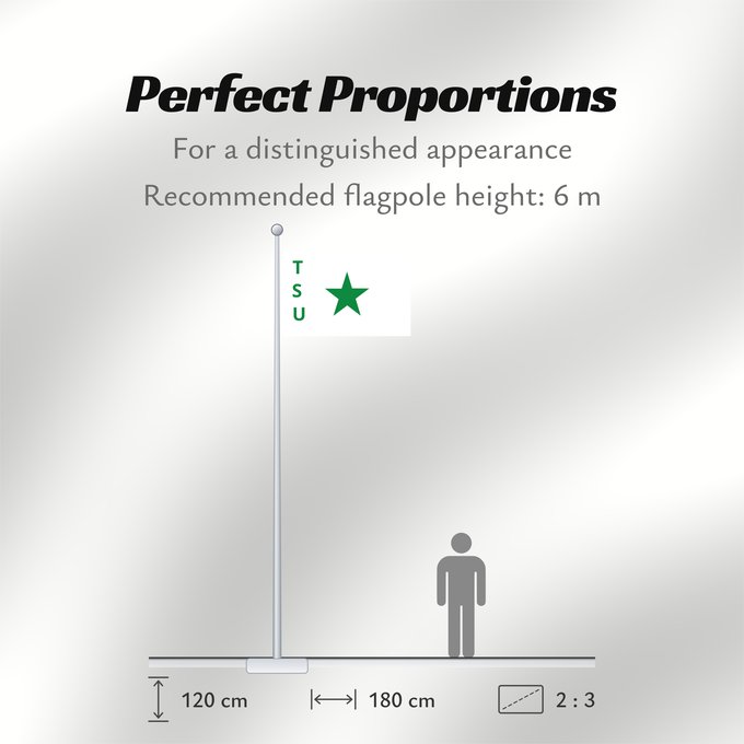 Flag Proportions: TSU