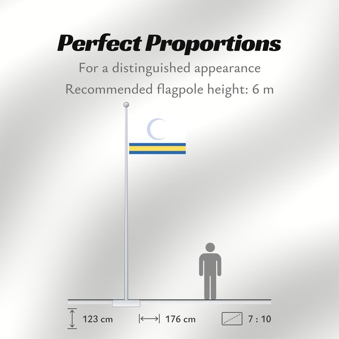 Flag Proportions: Proposed flag of Iraq  Coalition Provisional Authority	A proposal for the a future iraqi flag by the Coalition Provisional Authority from 2004, rejected after widespread criticism