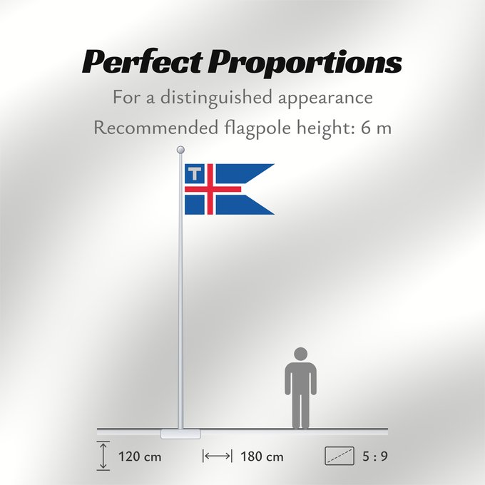 Flag Proportions: Customs Flag and Ensign of Iceland	Customs flag of Iceland. Ratio 37 18	Servicio Aduanero
