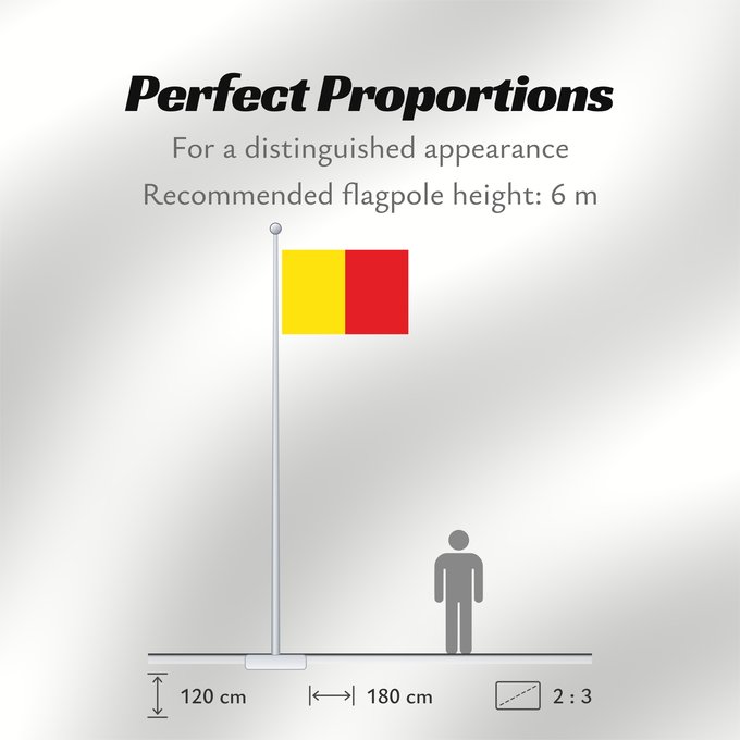 Flag Proportions: Naples Province of Naples Province de Naples Provincia de Naples Provinz Naples Napoli