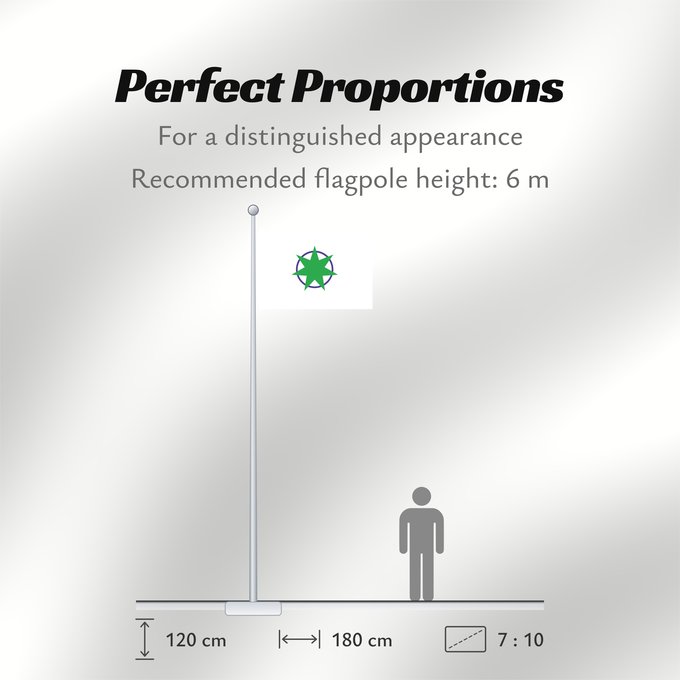 Flag Proportions: Aomori
