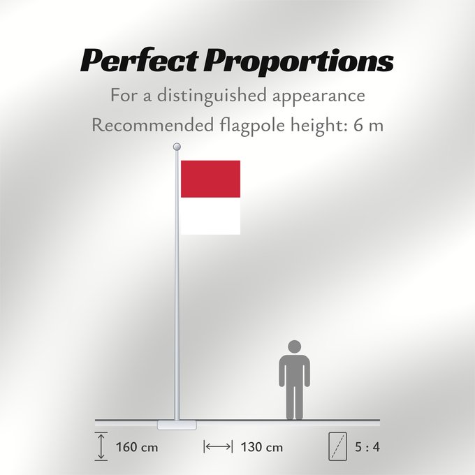 Flag Proportions: Satsuma domain Color of Satsuma domain at end of Edo period in Japan Domaine de Satsuma Dominio de Satsuma Satsuma-Domäne Dominio di Satsuma