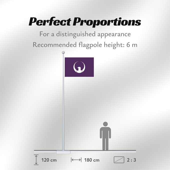 Flag Proportions: Suwa, Nagano 諏訪市旗